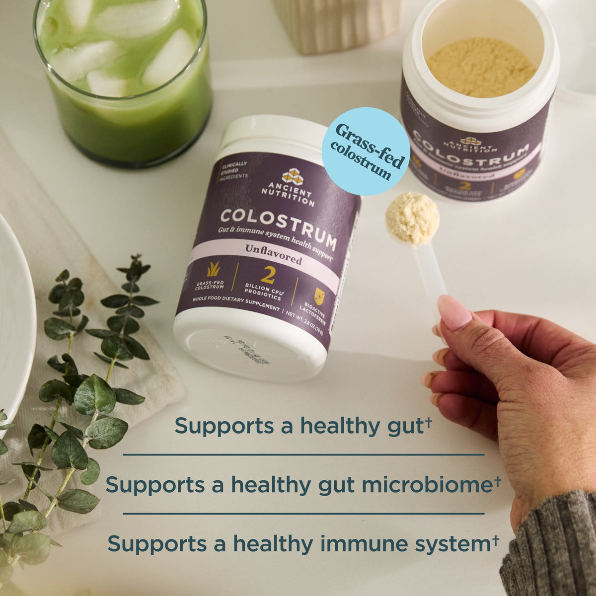 Ancient Nutrition Colostrum supplement with a glass of green juice and a spoonful of powder on a white surface.