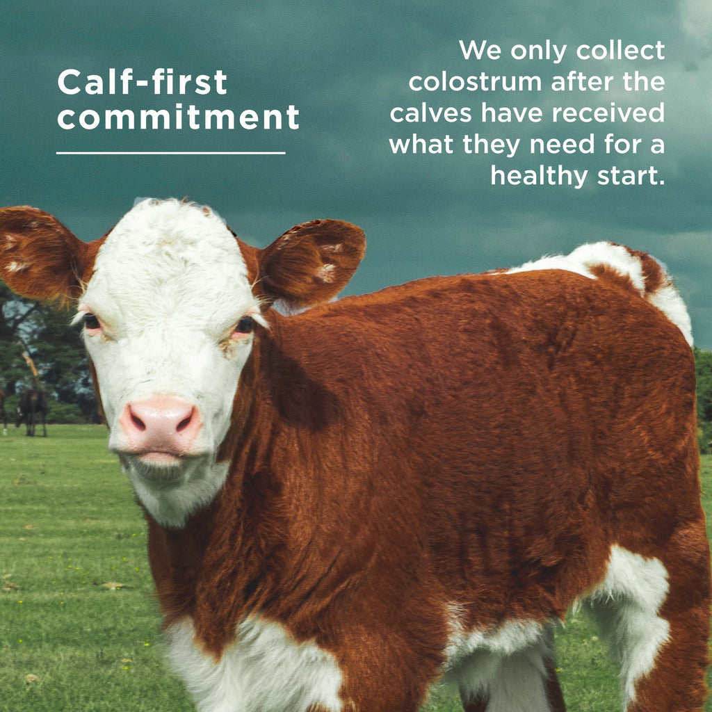 calf-first commitment
