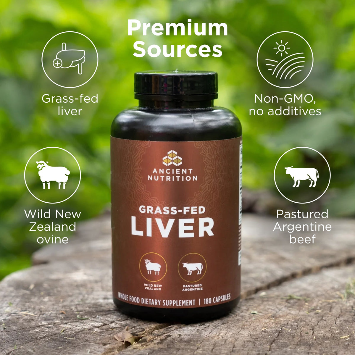 Bottle of Ancient Nutrition Grass-Fed Liver supplement on a wooden surface with greenery in the background