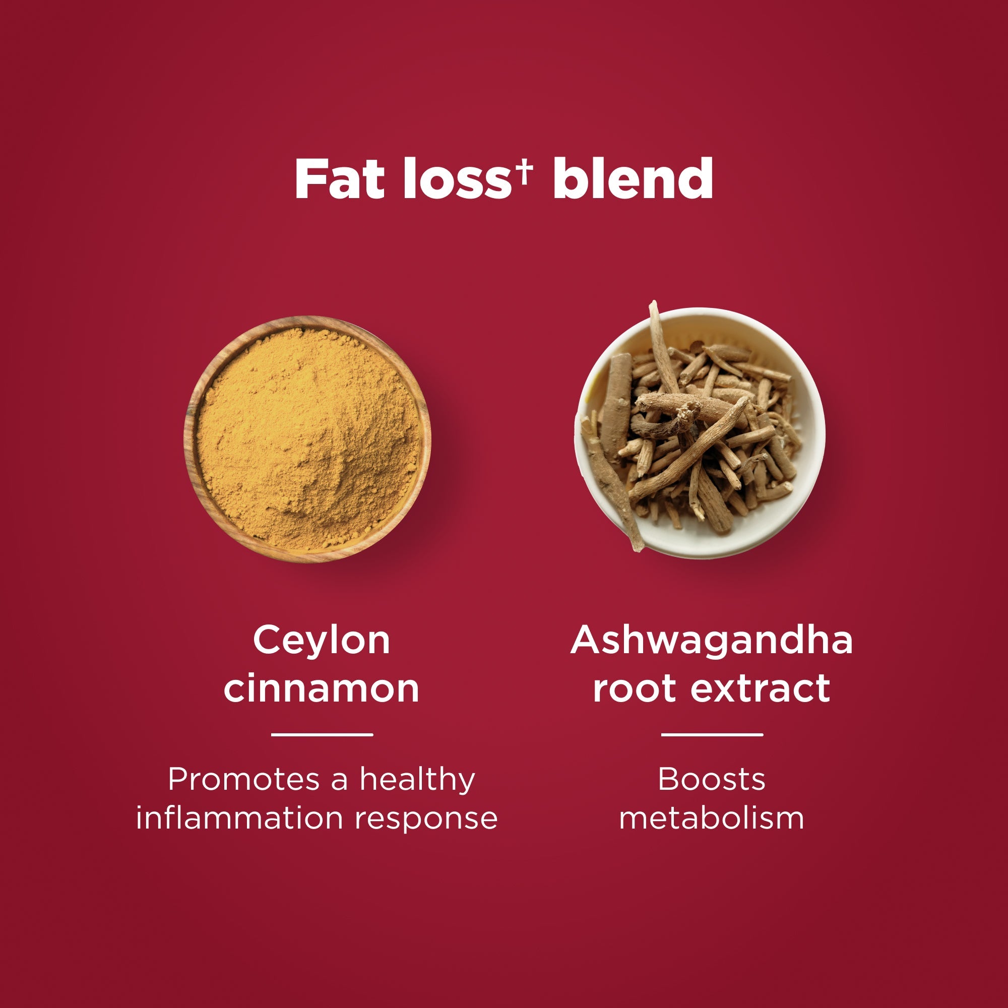 Fat loss blend with Ceylon cinnamon and Ashwagandha root extract on a red background