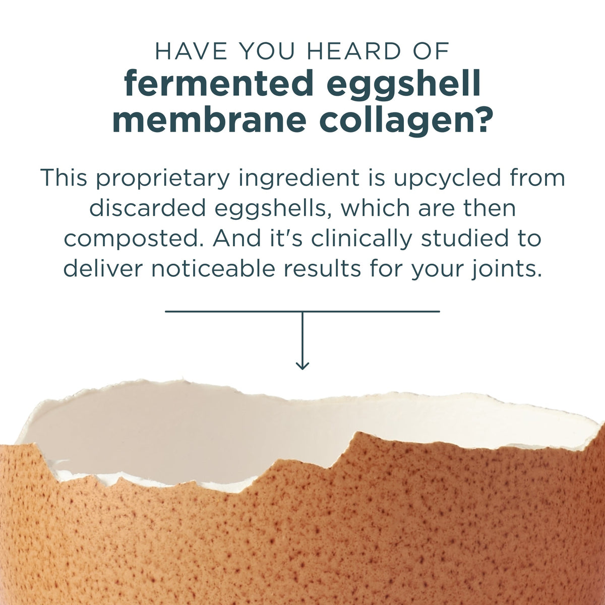 have you heard of fermented eggshell membrane collagen?