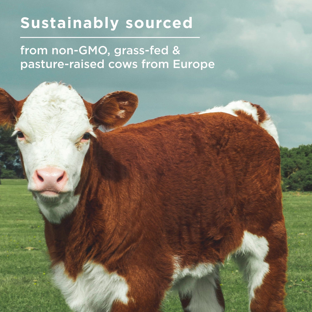 Sustainably sourced from non-GMO, grass-fed and pasture-raised cows from Eurpoe