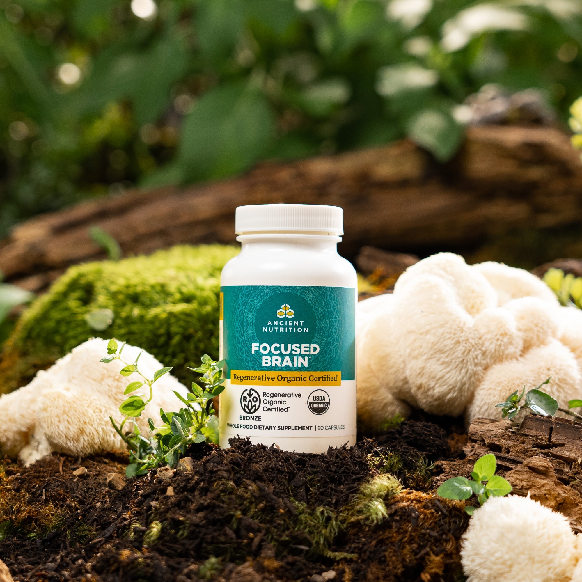 a bottle of Regenerative Organic Certified™ Focused Brain  on a mossy rock