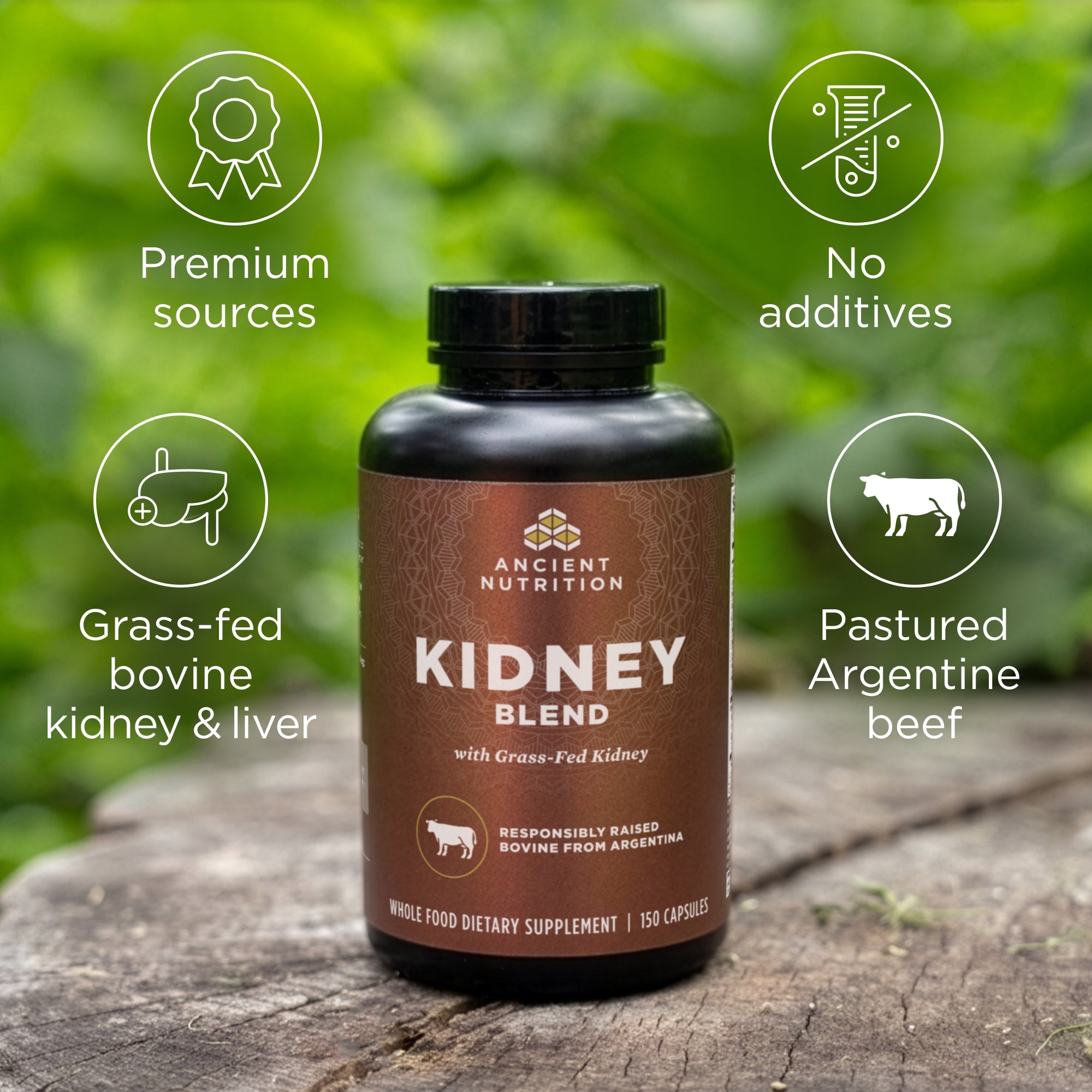 a bottle of Kidney Blend Capsules (30 Servings) on a mossy log with product callouts 