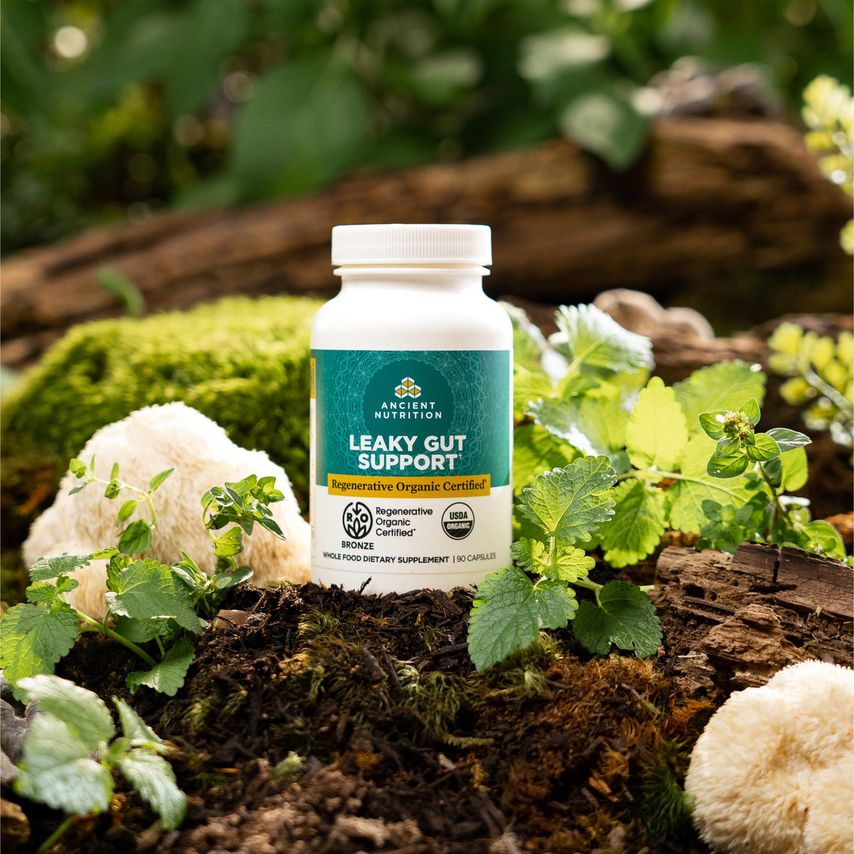 bottle of Regenerative Organic Certifiedª Leaky Gut Support on a mossy rock