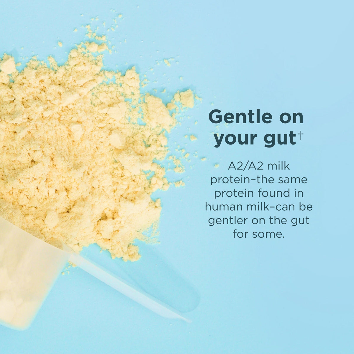 Gentle on your gut