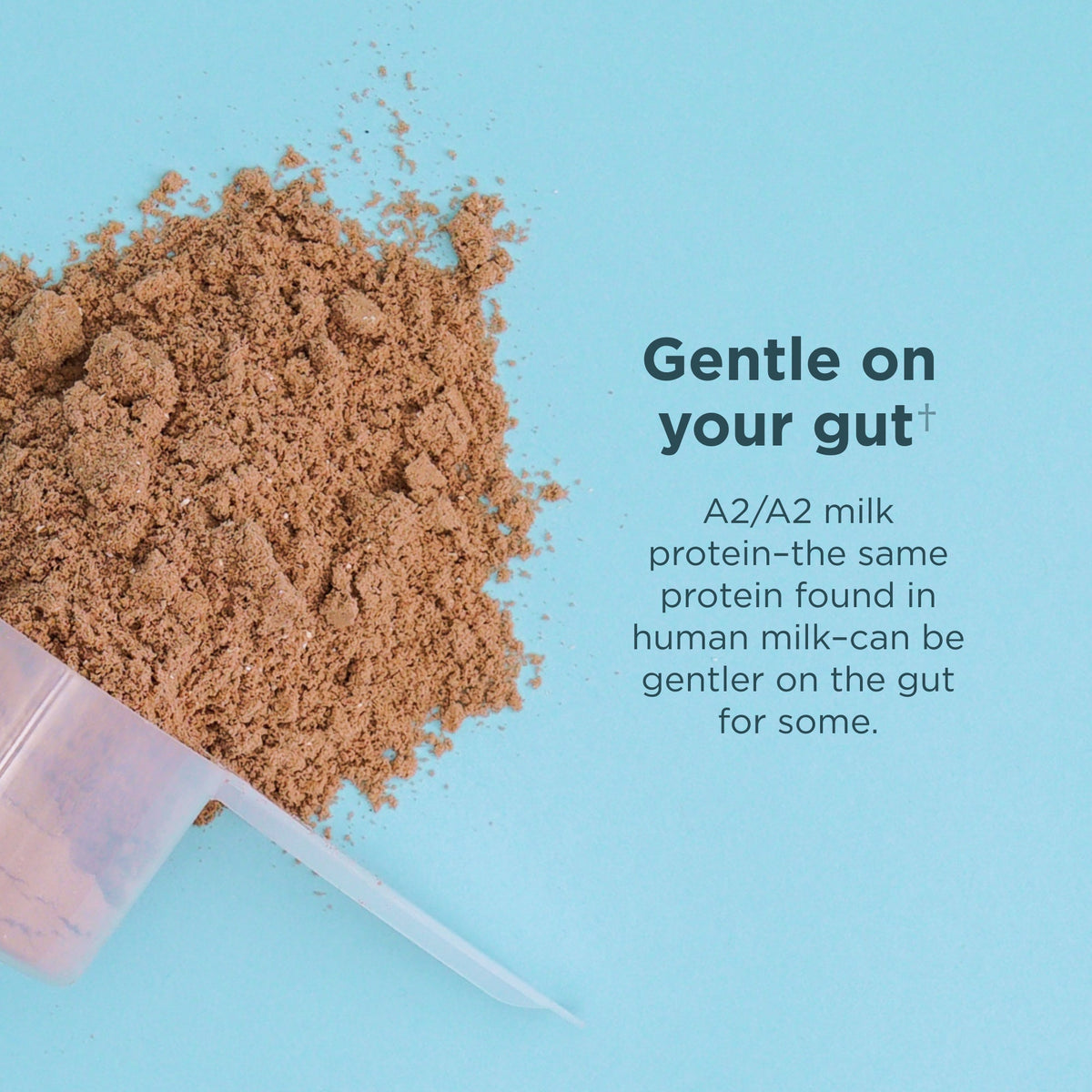Gentle on your gut