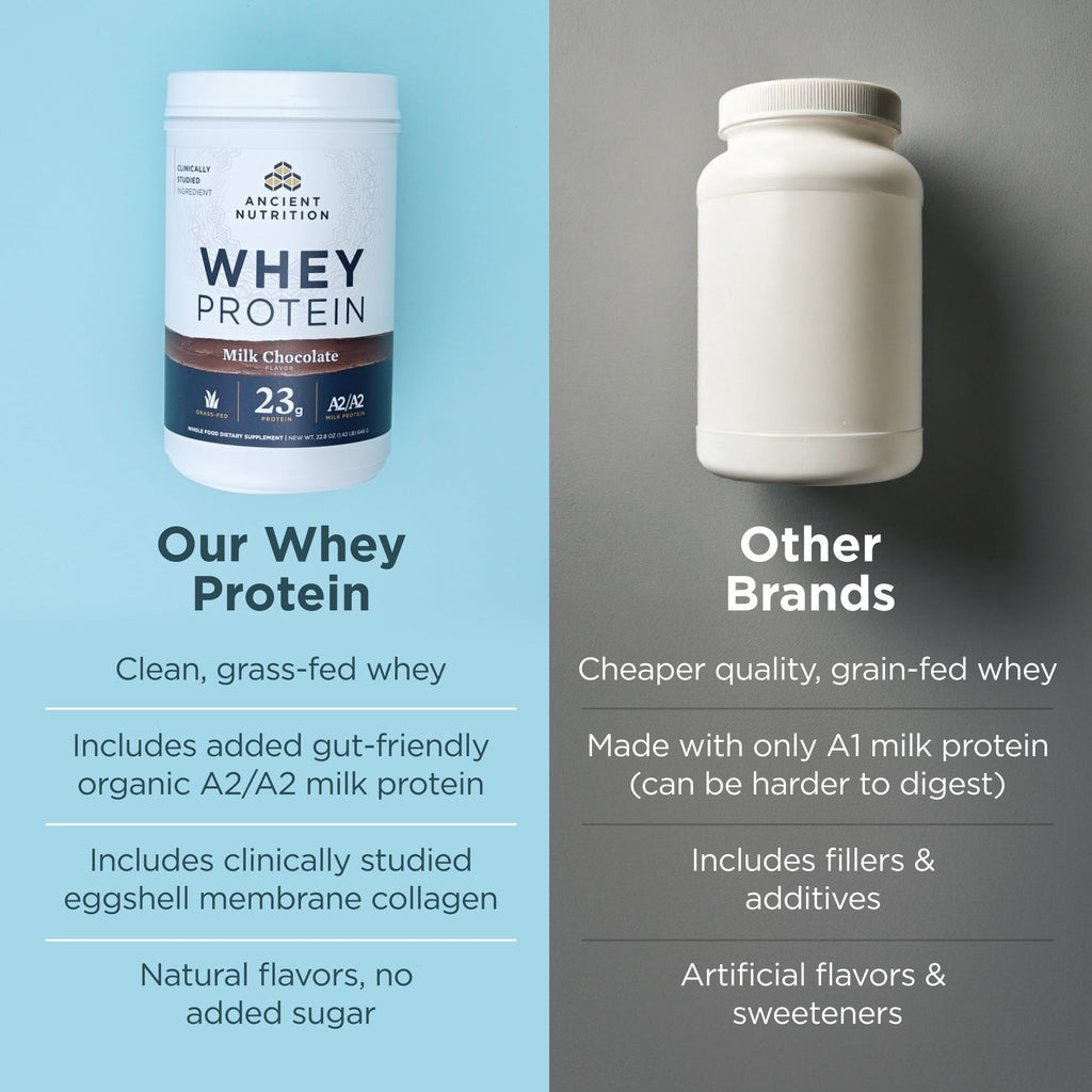 whey protein milk chocolate vs other brands